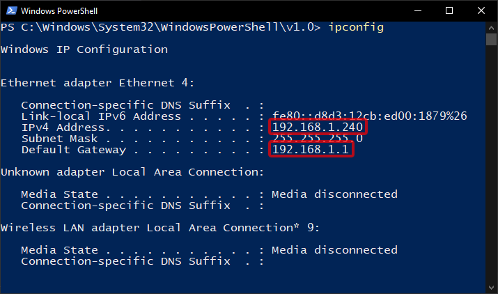 Local IP address and default gateway displayed by ipconfig